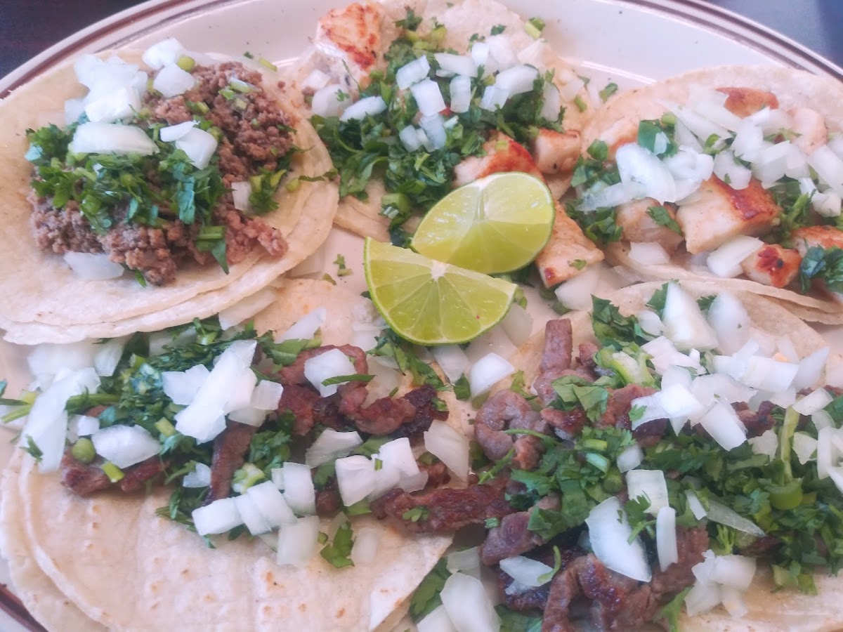 La Bikina Mexican Restaurant Photos 2